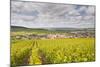 Champagne Vineyards Above the Village of Baroville in the Cote Des Bar Area of Aube-Julian Elliott-Mounted Photographic Print