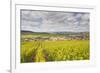 Champagne Vineyards Above the Village of Baroville in the Cote Des Bar Area of Aube-Julian Elliott-Framed Photographic Print