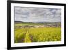 Champagne Vineyards Above the Village of Baroville in the Cote Des Bar Area of Aube-Julian Elliott-Framed Photographic Print