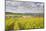 Champagne Vineyards Above the Village of Baroville in the Cote Des Bar Area of Aube-Julian Elliott-Mounted Photographic Print