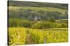 Champagne Vineyards Above the Village of Chervey in the Cote Des Bar Area of Aube-Julian Elliott-Stretched Canvas