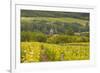 Champagne Vineyards Above the Village of Chervey in the Cote Des Bar Area of Aube-Julian Elliott-Framed Photographic Print