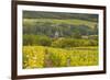 Champagne Vineyards Above the Village of Chervey in the Cote Des Bar Area of Aube-Julian Elliott-Framed Photographic Print