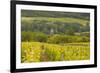 Champagne Vineyards Above the Village of Chervey in the Cote Des Bar Area of Aube-Julian Elliott-Framed Photographic Print