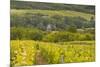 Champagne Vineyards Above the Village of Chervey in the Cote Des Bar Area of Aube-Julian Elliott-Mounted Photographic Print