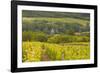 Champagne Vineyards Above the Village of Chervey in the Cote Des Bar Area of Aube-Julian Elliott-Framed Photographic Print