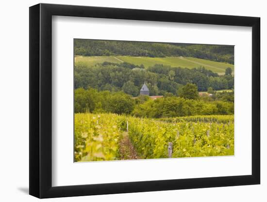 Champagne Vineyards Above the Village of Chervey in the Cote Des Bar Area of Aube-Julian Elliott-Framed Photographic Print
