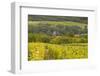 Champagne Vineyards Above the Village of Chervey in the Cote Des Bar Area of Aube-Julian Elliott-Framed Photographic Print