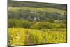 Champagne Vineyards Above the Village of Chervey in the Cote Des Bar Area of Aube-Julian Elliott-Mounted Photographic Print