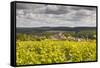 Champagne Vineyards Above the Village of Landreville in the Cote Des Bar Area of Aube-Julian Elliott-Framed Stretched Canvas