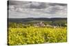 Champagne Vineyards Above the Village of Landreville in the Cote Des Bar Area of Aube-Julian Elliott-Stretched Canvas