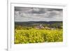 Champagne Vineyards Above the Village of Landreville in the Cote Des Bar Area of Aube-Julian Elliott-Framed Photographic Print