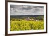 Champagne Vineyards Above the Village of Landreville in the Cote Des Bar Area of Aube-Julian Elliott-Framed Photographic Print