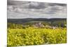 Champagne Vineyards Above the Village of Landreville in the Cote Des Bar Area of Aube-Julian Elliott-Mounted Photographic Print