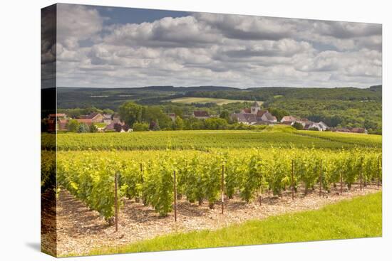 Champagne Vineyards Above the Village of Landreville in the Cote Des Bar Area of Aube-Julian Elliott-Stretched Canvas