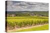 Champagne Vineyards Above the Village of Landreville in the Cote Des Bar Area of Aube-Julian Elliott-Stretched Canvas