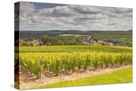 Champagne Vineyards Above the Village of Landreville in the Cote Des Bar Area of Aube-Julian Elliott-Stretched Canvas