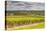 Champagne Vineyards Above the Village of Landreville in the Cote Des Bar Area of Aube-Julian Elliott-Stretched Canvas