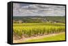 Champagne Vineyards Above the Village of Landreville in the Cote Des Bar Area of Aube-Julian Elliott-Framed Stretched Canvas