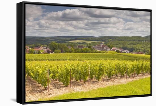 Champagne Vineyards Above the Village of Landreville in the Cote Des Bar Area of Aube-Julian Elliott-Framed Stretched Canvas