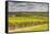 Champagne Vineyards Above the Village of Landreville in the Cote Des Bar Area of Aube-Julian Elliott-Framed Stretched Canvas