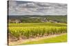 Champagne Vineyards Above the Village of Landreville in the Cote Des Bar Area of Aube-Julian Elliott-Stretched Canvas