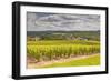 Champagne Vineyards Above the Village of Landreville in the Cote Des Bar Area of Aube-Julian Elliott-Framed Photographic Print