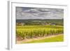 Champagne Vineyards Above the Village of Landreville in the Cote Des Bar Area of Aube-Julian Elliott-Framed Photographic Print