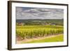 Champagne Vineyards Above the Village of Landreville in the Cote Des Bar Area of Aube-Julian Elliott-Framed Photographic Print