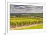 Champagne Vineyards Above the Village of Landreville in the Cote Des Bar Area of Aube-Julian Elliott-Framed Photographic Print