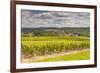 Champagne Vineyards Above the Village of Landreville in the Cote Des Bar Area of Aube-Julian Elliott-Framed Photographic Print