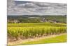 Champagne Vineyards Above the Village of Landreville in the Cote Des Bar Area of Aube-Julian Elliott-Mounted Photographic Print