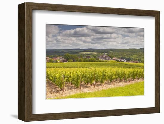 Champagne Vineyards Above the Village of Landreville in the Cote Des Bar Area of Aube-Julian Elliott-Framed Photographic Print