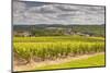 Champagne Vineyards Above the Village of Landreville in the Cote Des Bar Area of Aube-Julian Elliott-Mounted Photographic Print