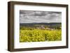 Champagne Vineyards Above the Village of Landreville in the Cote Des Bar Area of Aube-Julian Elliott-Framed Photographic Print