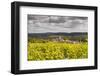 Champagne Vineyards Above the Village of Landreville in the Cote Des Bar Area of Aube-Julian Elliott-Framed Photographic Print