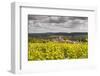 Champagne Vineyards Above the Village of Landreville in the Cote Des Bar Area of Aube-Julian Elliott-Framed Photographic Print