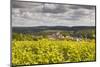 Champagne Vineyards Above the Village of Landreville in the Cote Des Bar Area of Aube-Julian Elliott-Mounted Photographic Print