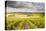 Champagne Vineyards Above the Village of Noe Les Mallets in the Cote Des Bar Area of Aube-Julian Elliott-Stretched Canvas