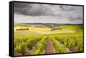 Champagne Vineyards Above the Village of Noe Les Mallets in the Cote Des Bar Area of Aube-Julian Elliott-Framed Stretched Canvas