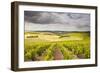 Champagne Vineyards Above the Village of Noe Les Mallets in the Cote Des Bar Area of Aube-Julian Elliott-Framed Photographic Print