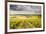 Champagne Vineyards Above the Village of Noe Les Mallets in the Cote Des Bar Area of Aube-Julian Elliott-Framed Photographic Print
