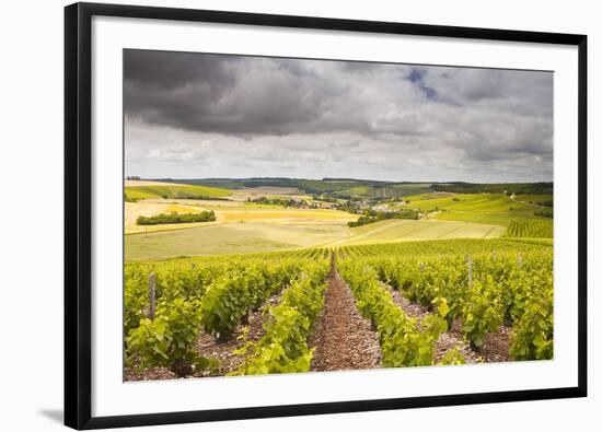 Champagne Vineyards Above the Village of Noe Les Mallets in the Cote Des Bar Area of Aube-Julian Elliott-Framed Photographic Print