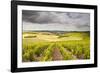 Champagne Vineyards Above the Village of Noe Les Mallets in the Cote Des Bar Area of Aube-Julian Elliott-Framed Photographic Print