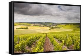 Champagne Vineyards Above the Village of Noe Les Mallets in the Cote Des Bar Area of Aube-Julian Elliott-Framed Stretched Canvas