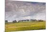 Champagne Vineyards Above the Village of Noe Les Mallets in the Cote Des Bar Area of Aube-Julian Elliott-Mounted Photographic Print