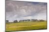 Champagne Vineyards Above the Village of Noe Les Mallets in the Cote Des Bar Area of Aube-Julian Elliott-Mounted Photographic Print