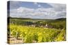 Champagne Vineyards Above the Village of Viviers Sur Artaut-Julian Elliott-Stretched Canvas