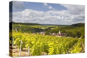 Champagne Vineyards Above the Village of Viviers Sur Artaut-Julian Elliott-Stretched Canvas