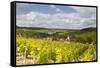 Champagne Vineyards Above the Village of Viviers Sur Artaut-Julian Elliott-Framed Stretched Canvas